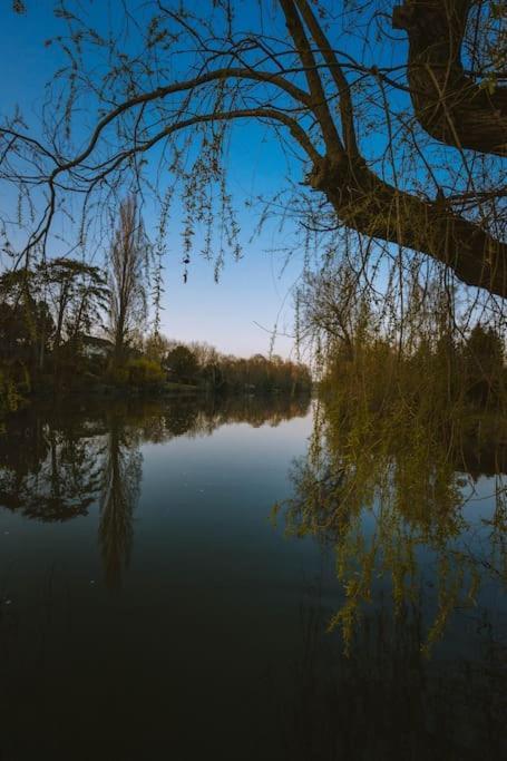 Le Chalet Du Bout Du Monde, En Bord De Riviere ! Grez-sur-Loing المظهر الخارجي الصورة